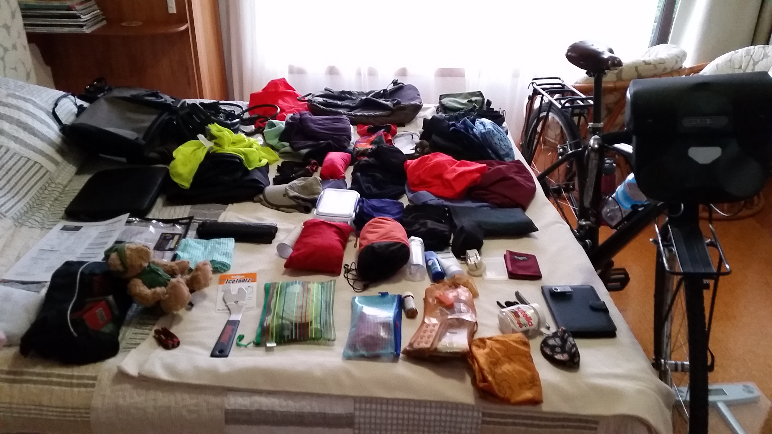 2016-02-15 06.56.36.jpg